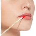 Disposable Lip Brushes Lip Gloss Applicators Lipstick