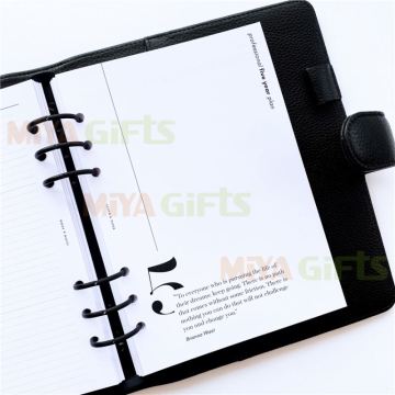 US Style Sunday to Saturday A5 Planner Insert - Pre-punched and Categorized
