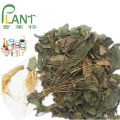 98% Gingseng-Extrakt Pulver Ginsenosid rg3 rh2