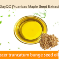 Yuanbao Maple Seed Extract