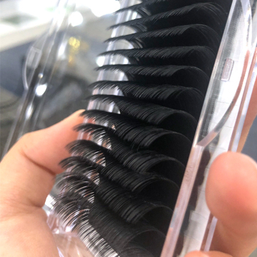 Cashmere Individual Volume Eyelash Extensions Trays Supplies