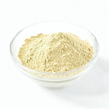 Polvo de extracto de ginseng de venta caliente