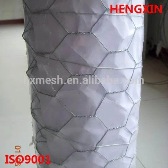 Manufacturer high quality hexagonal netting