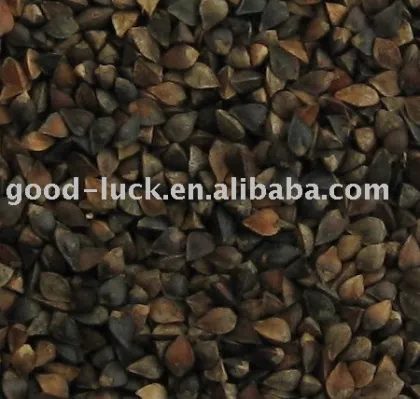 China Black Buckwheat Crop 2011