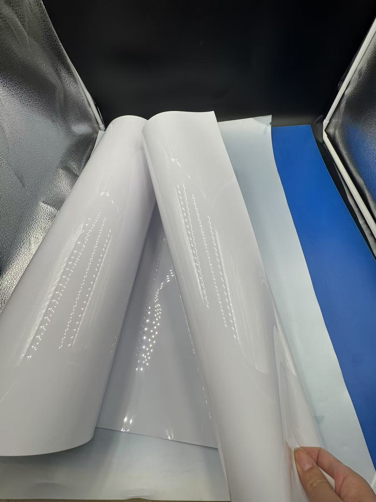 PET Blister trays film