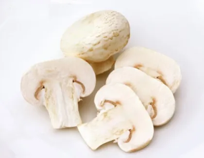 Fresh Delicate Champignon Mushroom