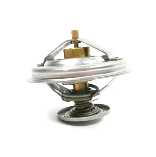 Ivanzoneko High Quality Factory Wholesale Thermostat Temperature Controller for BMW