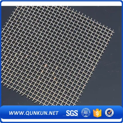 stainless steel wire mesh/mosquito net/water filter