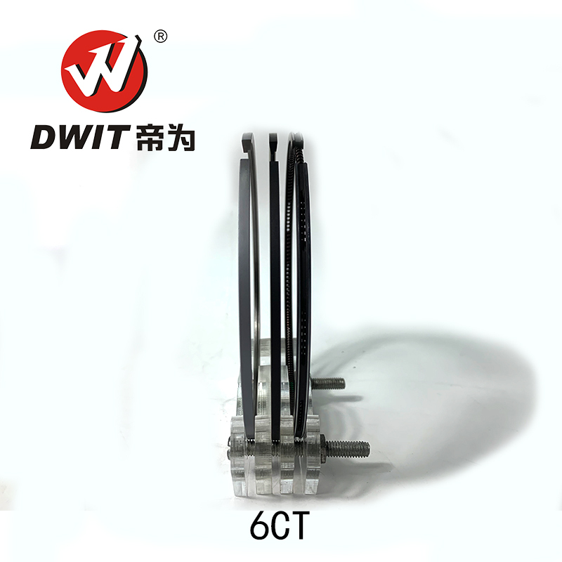 High Quality DWIT Spare Parts 6CT8.3 Piston Ring Set 3921444 3928147 for CUMMINS