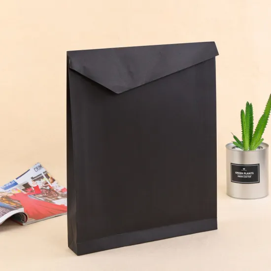 White Black Kraft Paper Cardboard Envelope for Packaging and Shipping