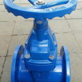 Bright bar iron gate valve