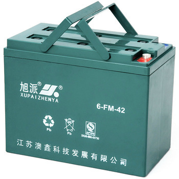 12V deep cycle leisure battery chargers 6-FM-42