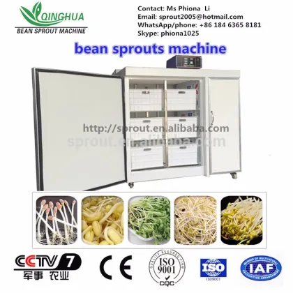 Bean Sprouts Machine mung bean soya bean