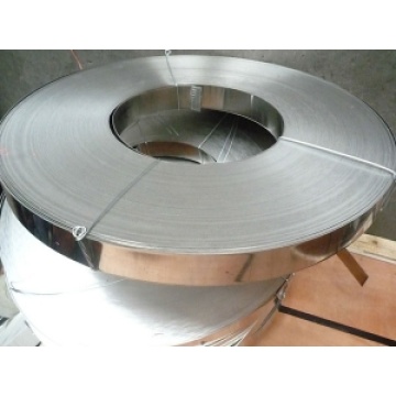 NO6600/ Inconel600 Strip - Nickel based alloy