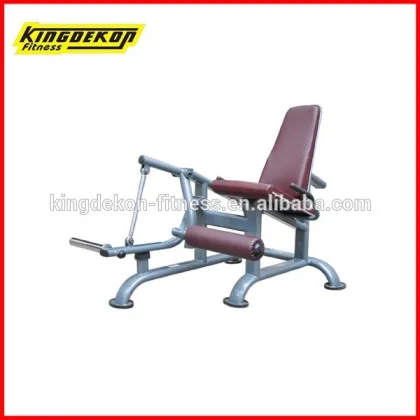 Seated Dip strength fitness equipment