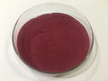 Natural Black Carrot Juice Powder