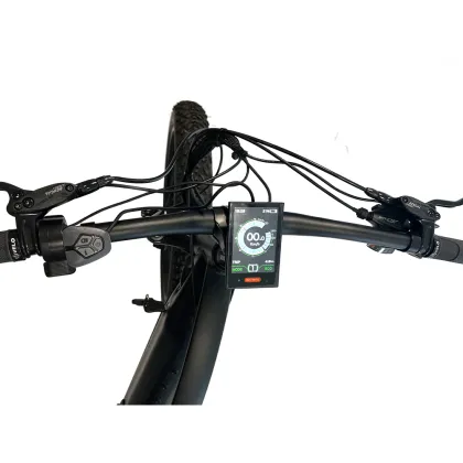 9 Speed Shimano Electric Mountain Bike with 1000W Motor: The Ultimate Adult Cross-Country Bicycle