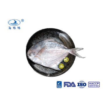 ອາຫານທະເລແຊ່ແຂງ Zhoushan Pomfret