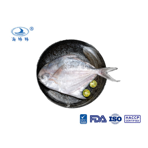 ອາຫານທະເລແຊ່ແຂງ Zhoushan Pomfret