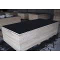 Factory film faced plywood and marine plywood for building