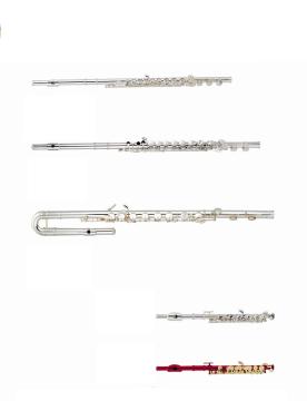 Flute and Piccolo