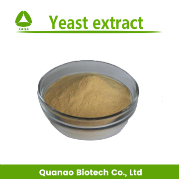 Yeast Extract Powder Yeast Glucan