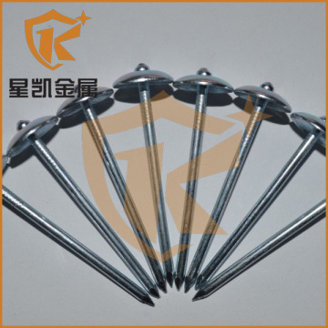 common wire nails umbrella head roofing nails galvanized