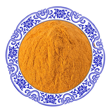 Health Food Bulk Vitamin B2 Riboflavin Powder