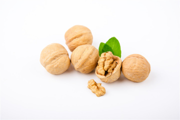 Raw walnut food Xiner