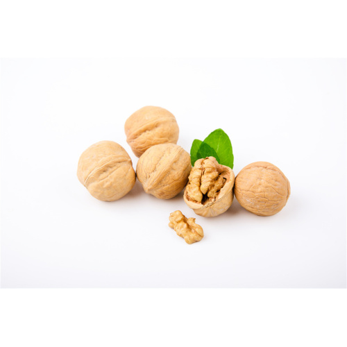 Raw walnut food Xiner