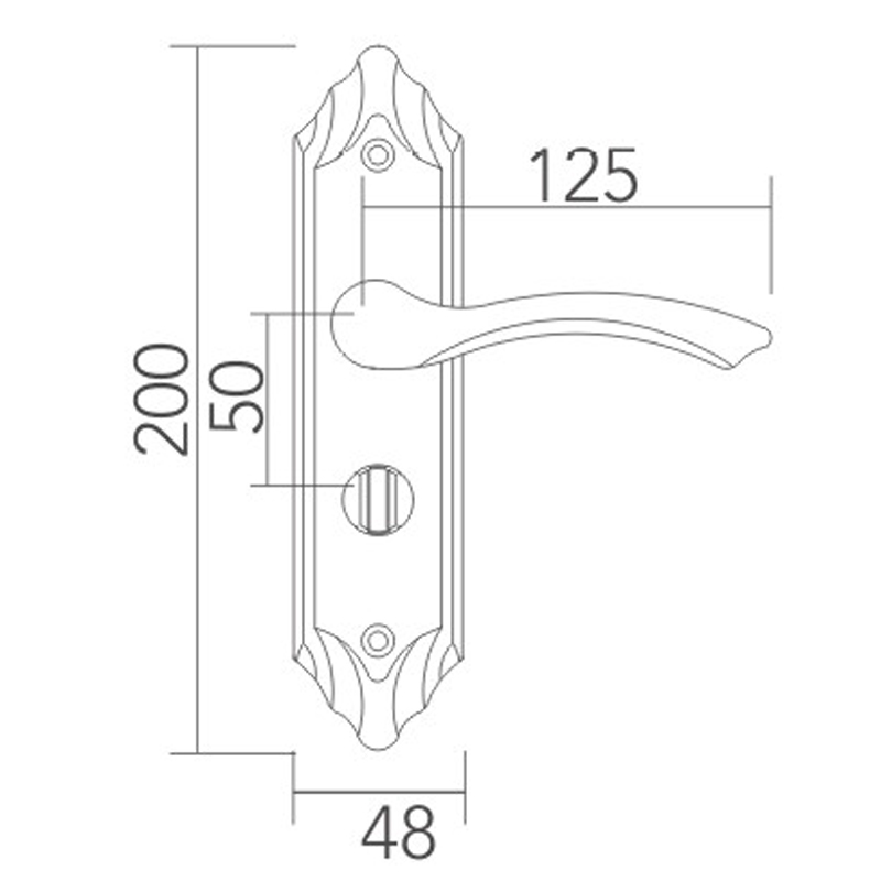 Stainless steel door lock