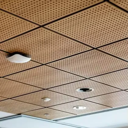 Hall Wall Perforated Wood Acoustic Wall Panels