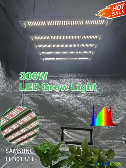 best grow lights full spectrum led
