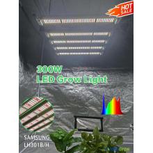 best grow lights full spectrum led