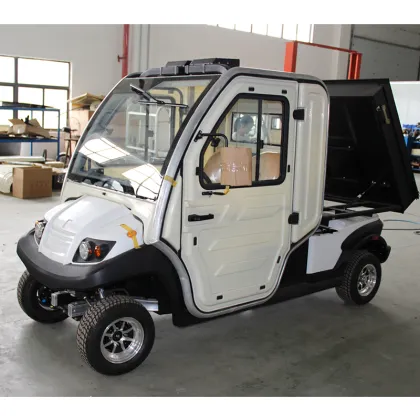 Electric Utility Vehicles for Elderly in EG Chinatown Neighborhood