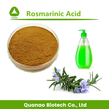 Rosemary Leaf Extract Rosmarinic Acid Powder 20% HPLC
