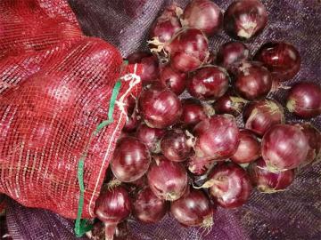 Migliore qualità della cipolla rossa fresca