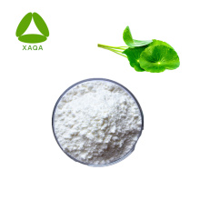 Anti-Depression Gotu Kola Extract Asiatic Acid 90% Powder