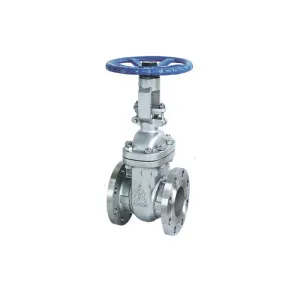 API Stainless Steel Gate Valve