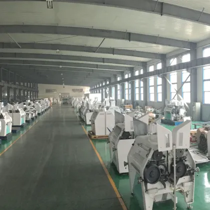 Pneumatic Double Roller Mill