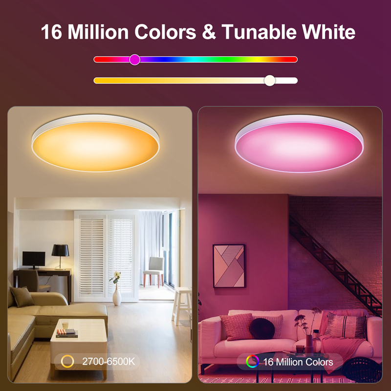 Smart Ceiling Light Atmosphere Lamp