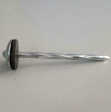 Hardware Umbrella Roofing Nail for Sale