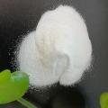 Tech Grade Calcium Formate 98% min