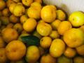 Top Nanfeng Baby Mandarin