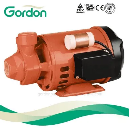 Good Price PM16 PEDROLLO Electric Motor Vortex Water Pump 0.5HP 1.0HP