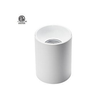 SZDAYTON Modern Outdoor IP65 Waterproof Ceiling Mounted Cylinder LED Downlight