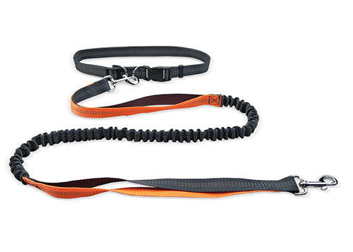 Hand Free Reflective Elastic Belt BELT Running Dog Leashes