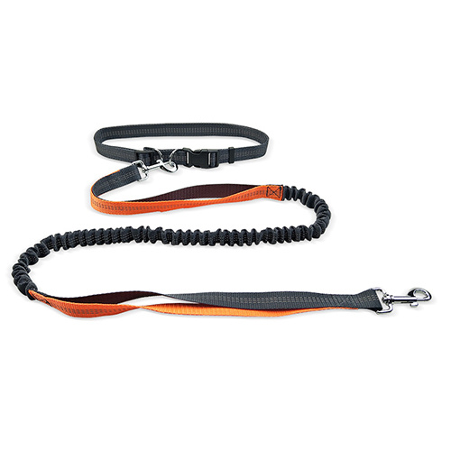 Tangan Percuma Reflektif Elastik Belt Belt Running Dog Leashes