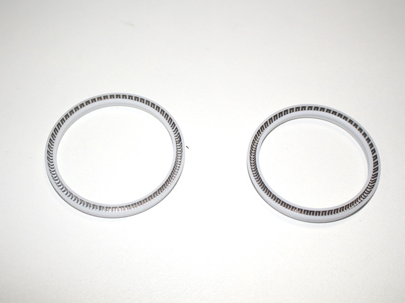 Spring Energized Seals--Support Customer Customization