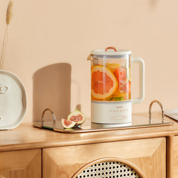 Oidiore 24h Heat Preservation Glass Bollettle
